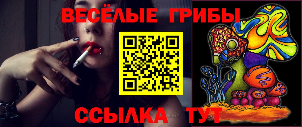 Касимов  Галлюциногенные грибы Psilocybine cubensis  Вход с VPN 