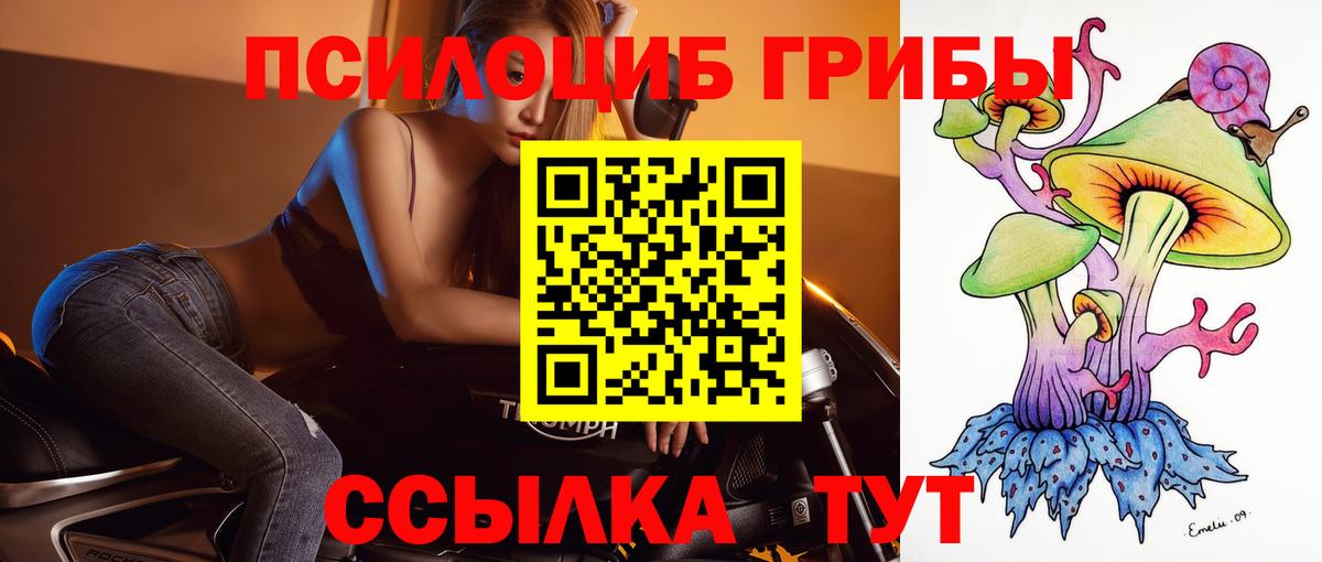 Псилоцибиновые грибы Psilocybine cubensis Касимов